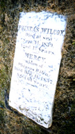 Wilcox's Gravestone